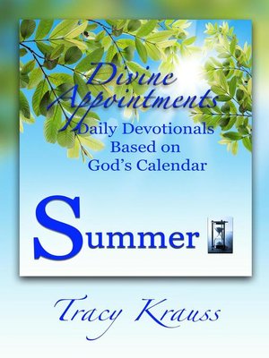 cover image of Divine Appointments